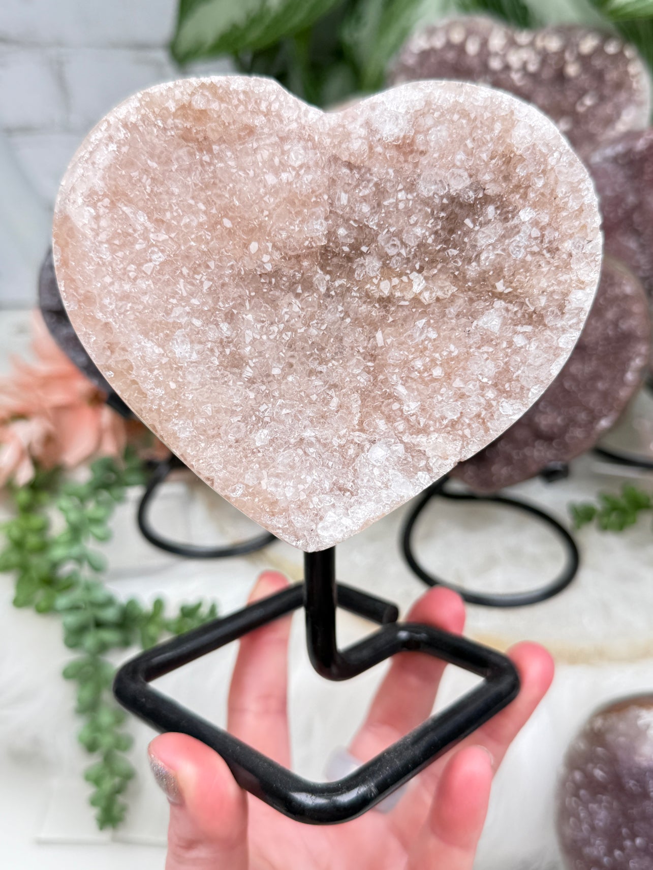 Uruguayan Amethyst Hearts