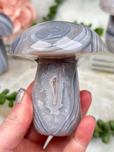 Contempo Crystals - madagascar-agate-mushroom - Image 10