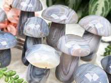 Load image into Gallery: Contempo Crystals - madagascar-banded-agate-mushroom - Image 6