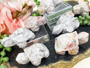 Contempo Crystals - mexico-crazy-lace-agate-turtle - Image 1