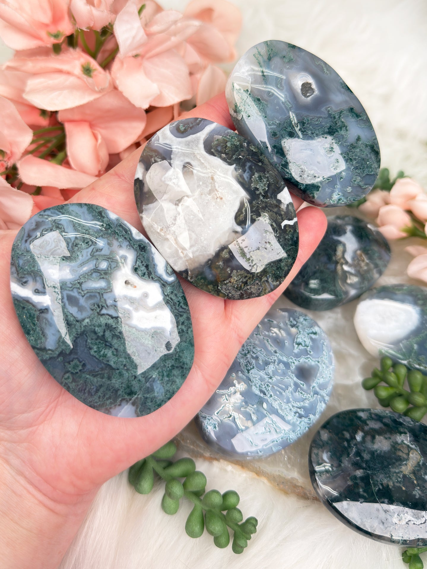 Moss Agate Palms