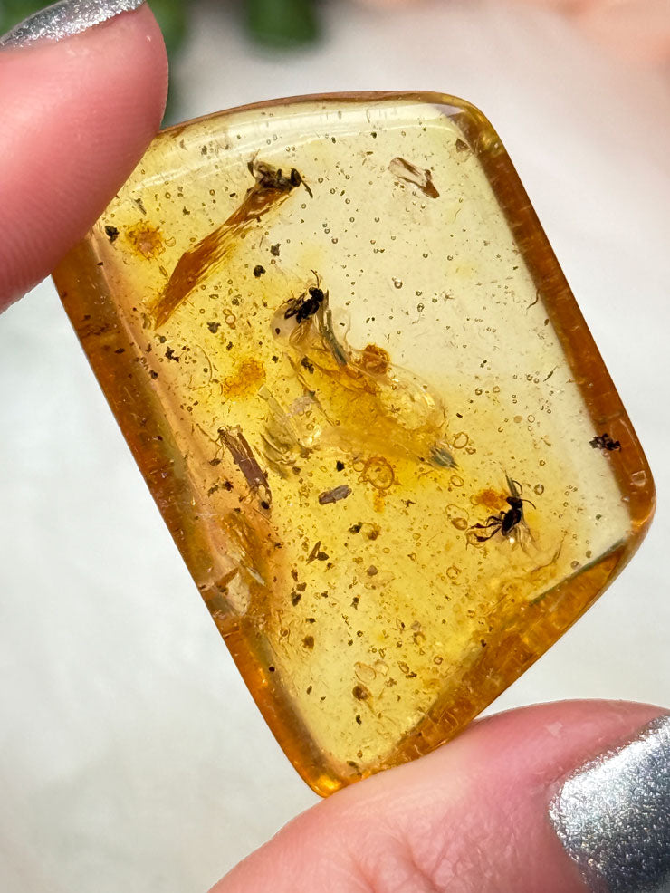 natural-amber-with-insects