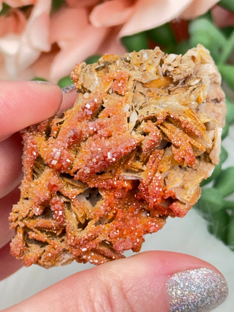 Small Vanadinite Clusters