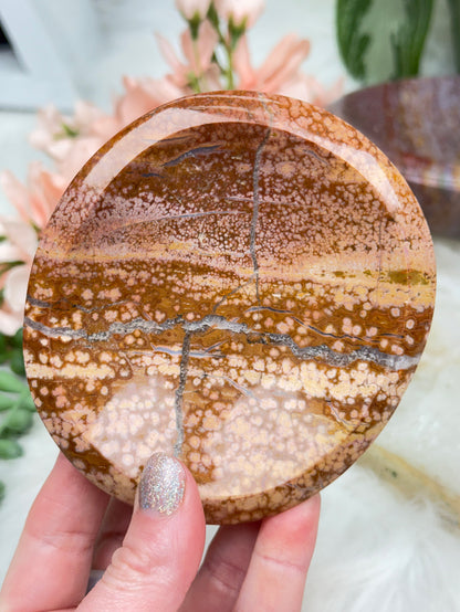 Ocean Jasper Bowls