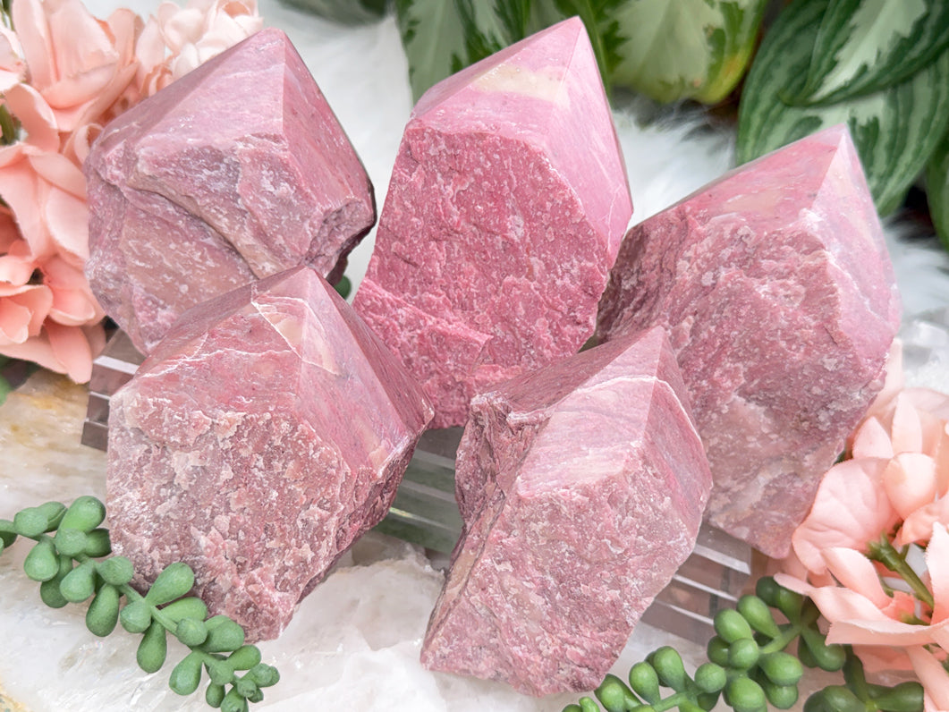 Pink Petrified Wood Points