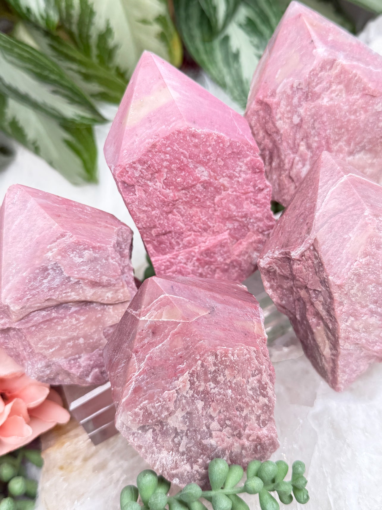 Pink Petrified Wood Points