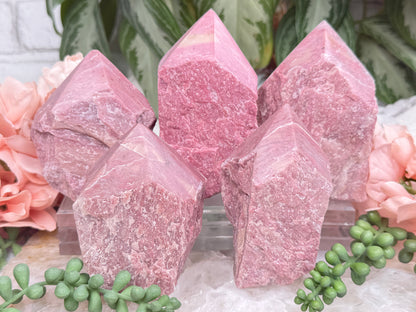 Pink Petrified Wood Points