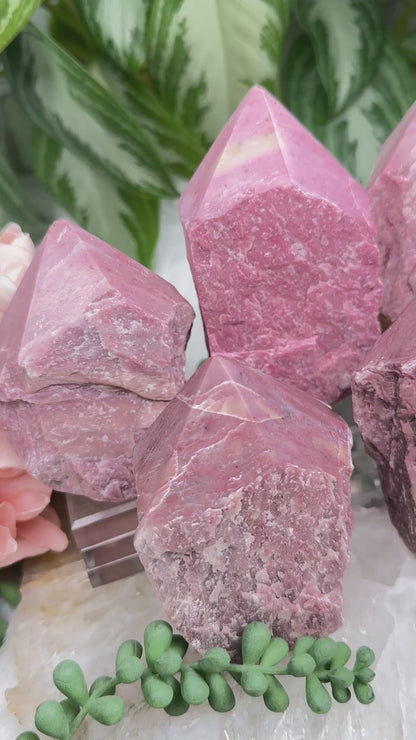 Pink Petrified Wood Points