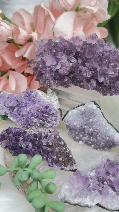 Small Amethyst Clusters