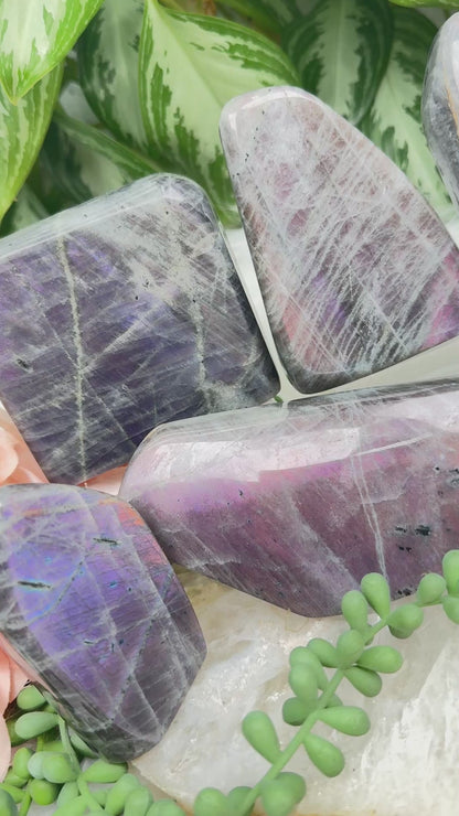 Pink Purple Labradorite