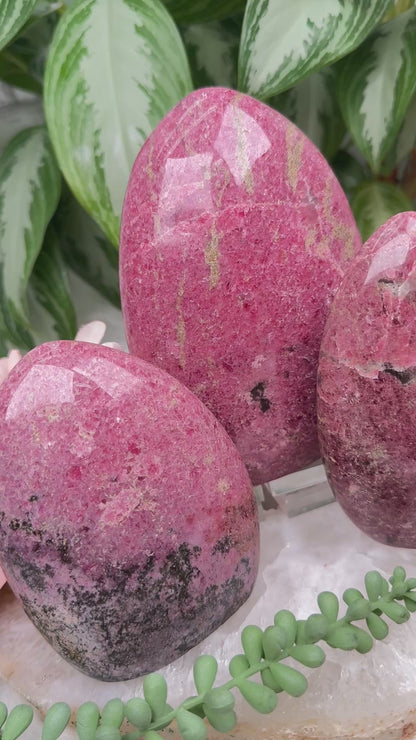 Rhodonite Freeforms (A Grade)