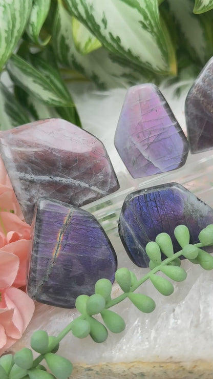 Pink Purple Labradorite