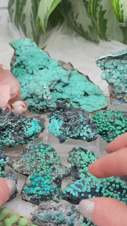 Planet Mine Chrysocolla