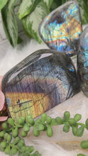 Load image into Gallery: Contempo Crystals - colorful-labradorite-freeform-for-sale - Image 2