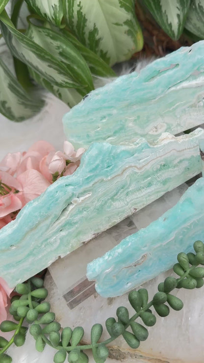 Blue Aragonite Slices