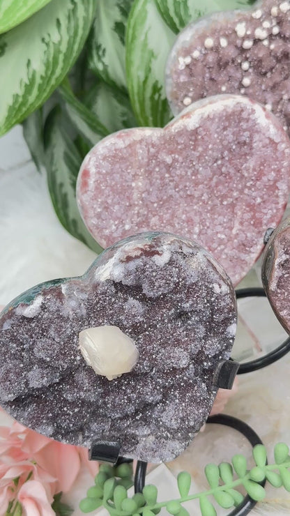 Uruguayan Amethyst Hearts