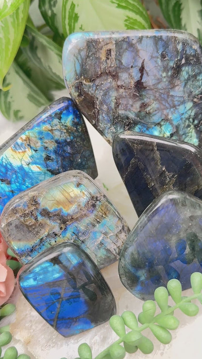 Standing Labradorite Freeforms