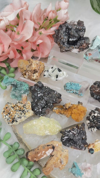Mixed Small Namibia Specimens