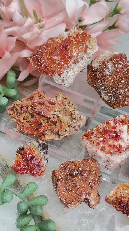 Small Vanadinite Clusters