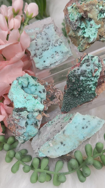 Sparkle Chrysocolla Malachite