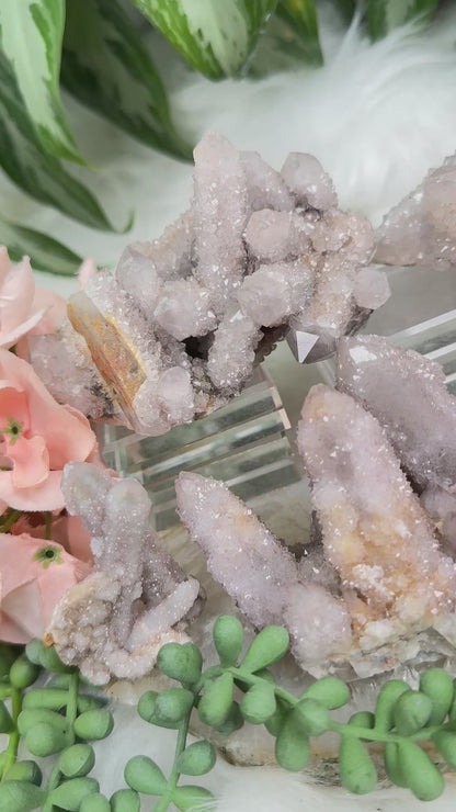 Super cute white spirit quartz clusters.