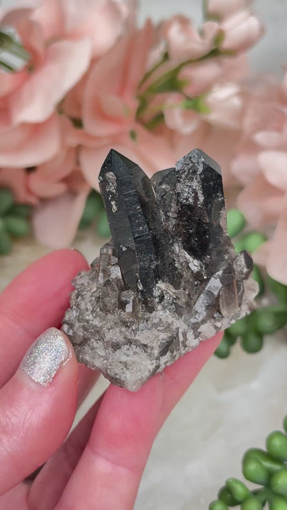 Small Smoky Quartz Cluster