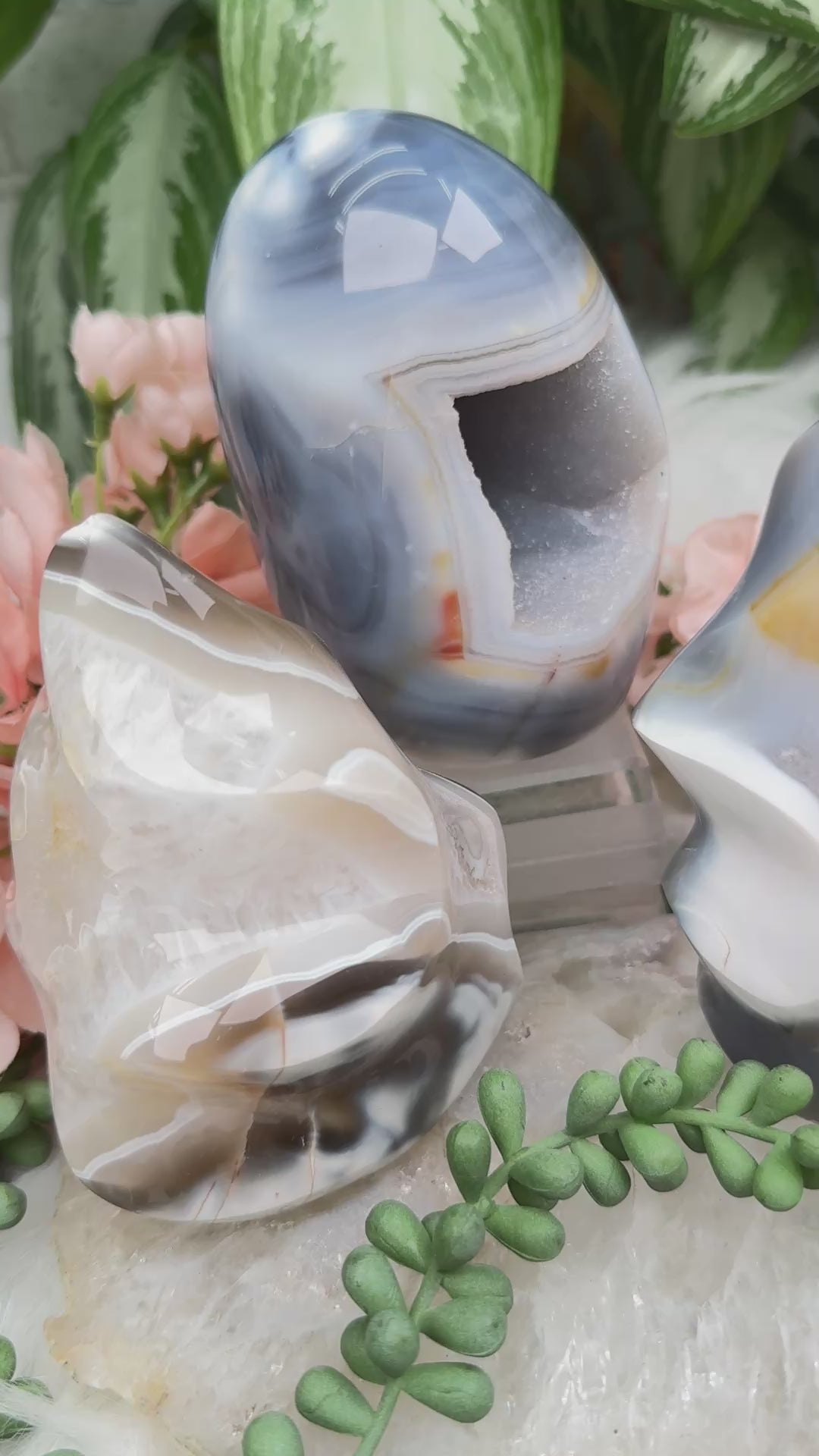 Standing Orca Agate Flame & Freeform Pieces – Contempo Crystals