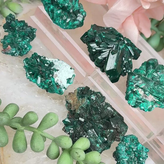 small-dioptase-crystal-specimens