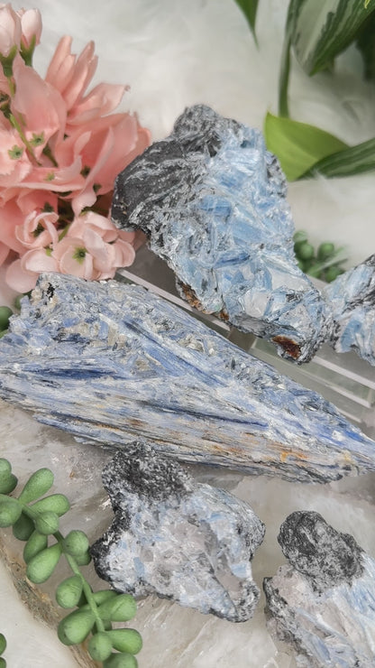 Raw Black & Blue Kyanite