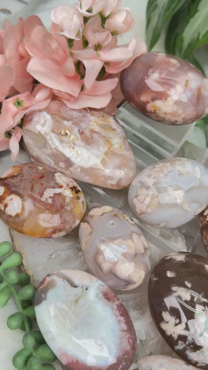 Flower Agate Palms