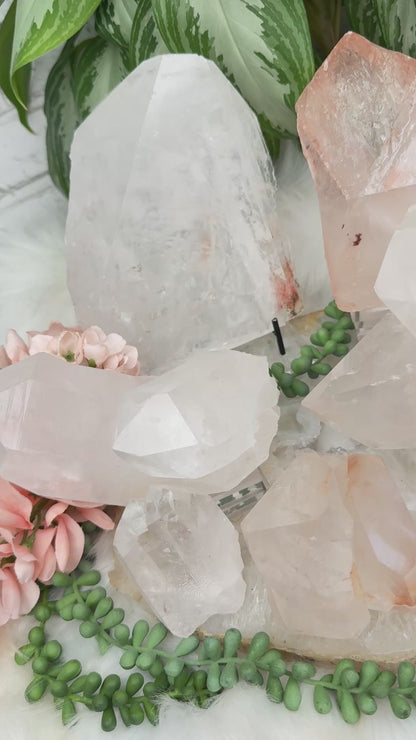 Large Brazil Quartz Crystals