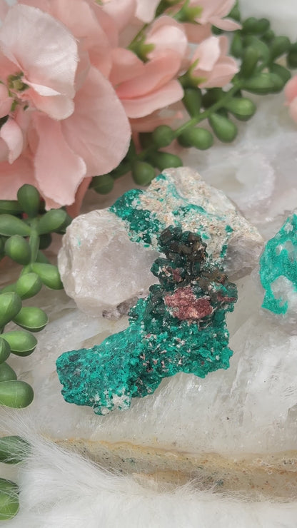 teal-green-dioptase-from-namibia