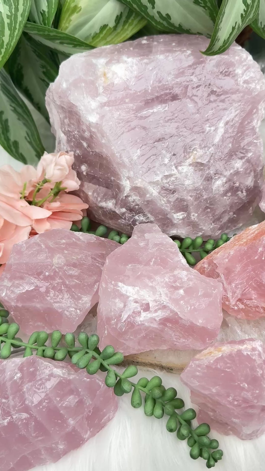 large-pink-raw-rose-quartz-crystals