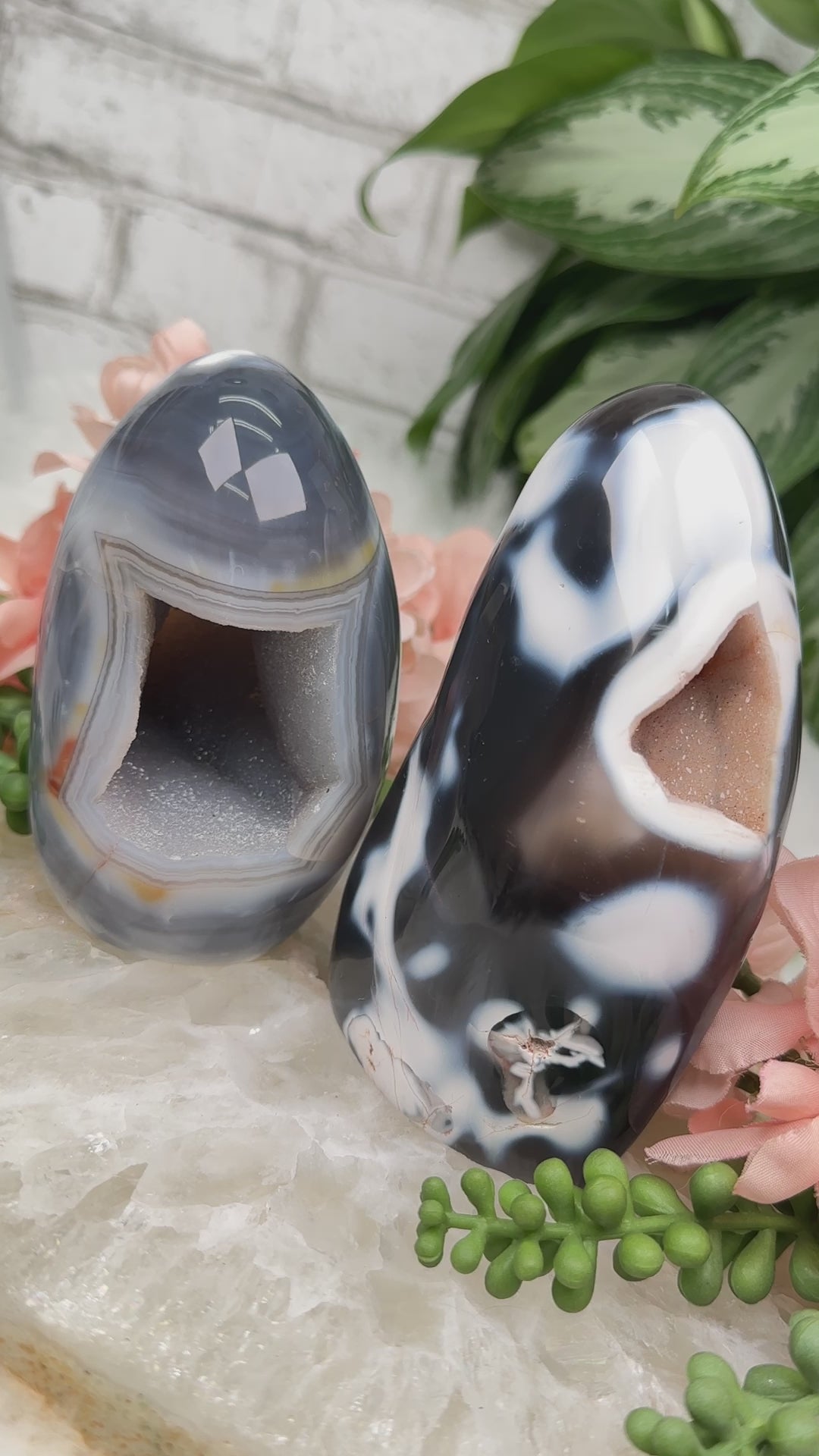 large-druzy-orca-agate
