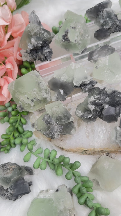 Green Fluorite Gray Bladed Calcite