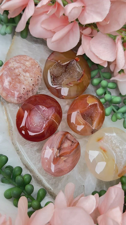 Orange Carnelian Palms