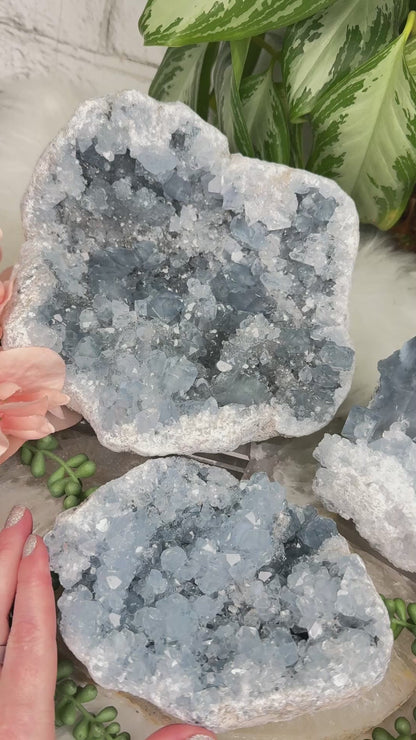 Large Blue Celestite Clusters