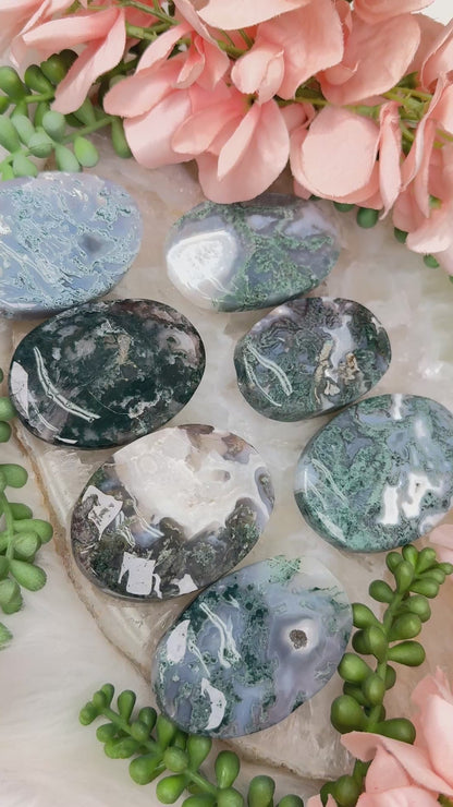 Moss Agate Palms