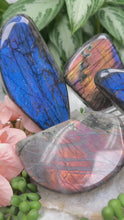Load image into Gallery: Contempo Crystals - Labradorite Freeforms - Image 2