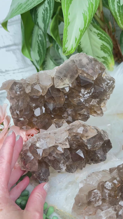 Smoky Quartz Clusters