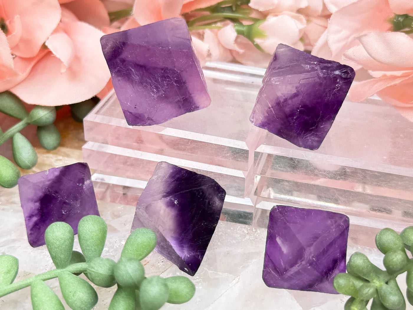 Shop Tons Of Purple Crystals Purple Stones Contempo Crystals shop-tons-of-purple-crystals-purple-stones-contempo-crystals