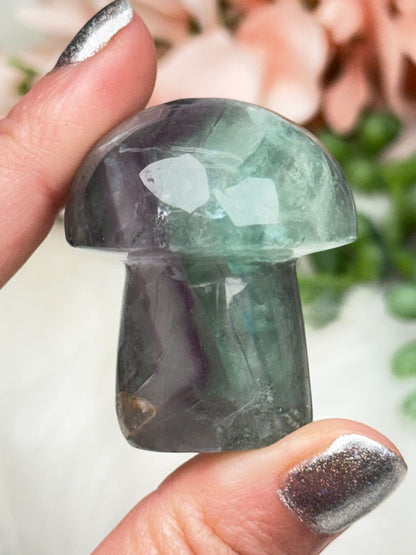 purple-green-fluorite-mushroom