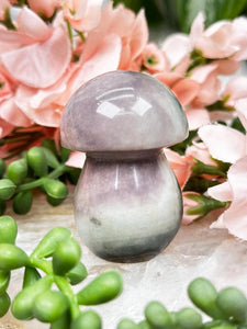Contempo Crystals - purple-green-polychrome-jasper-mushroom - Image 5