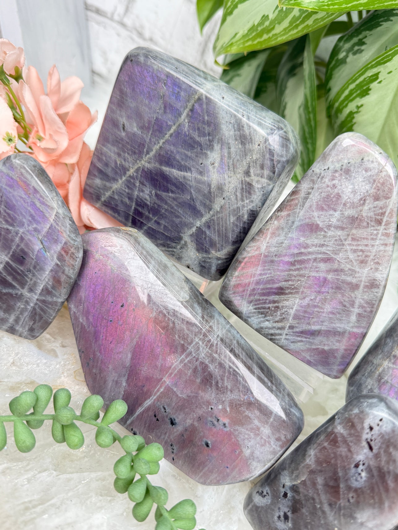 Pink Purple Labradorite