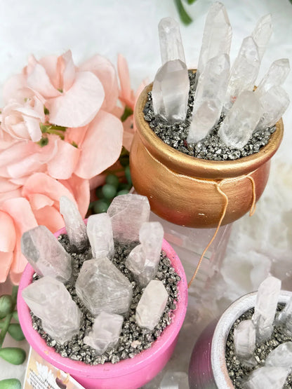 crystals in plant pots Quartz Pyrite Abundance Crystal Pot – Contempo Crystals