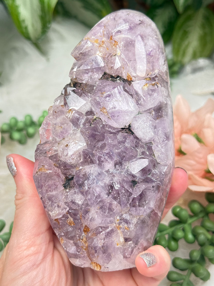 Raw Amethyst Freeforms