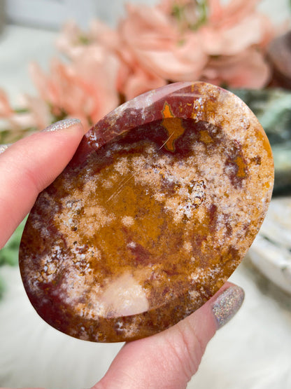 Ocean Jasper Bowls