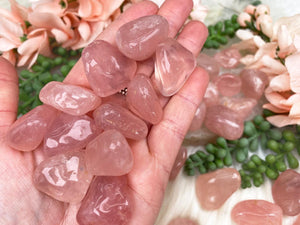 Contempo Crystals - rose-quartz-tumbles-for-sale - Image 1