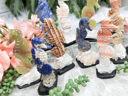 seahorse-crystals