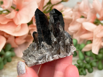 Small Smoky Quartz Cluster